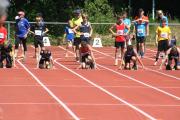 IMG4453.JPG