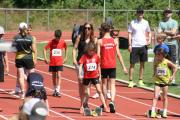 IMG4456.JPG