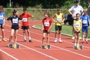 IMG4460.JPG