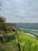 Ausflug-Rhein-10112025OL-3.jpg