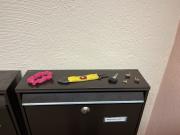 IMG4245.jpeg