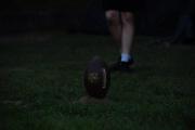 DSC0336.jpg