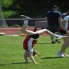 DSC0272.jpg